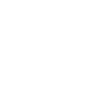Gå til nettsiden til Riis bilglass